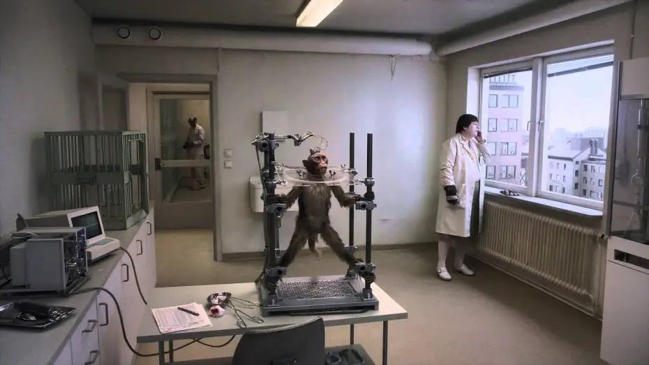 Video for the film A Pigeon Sat on a Branch Reflecting on Existence — Eine Taube sitzt auf einem Zweig und denkt über das Leben nach