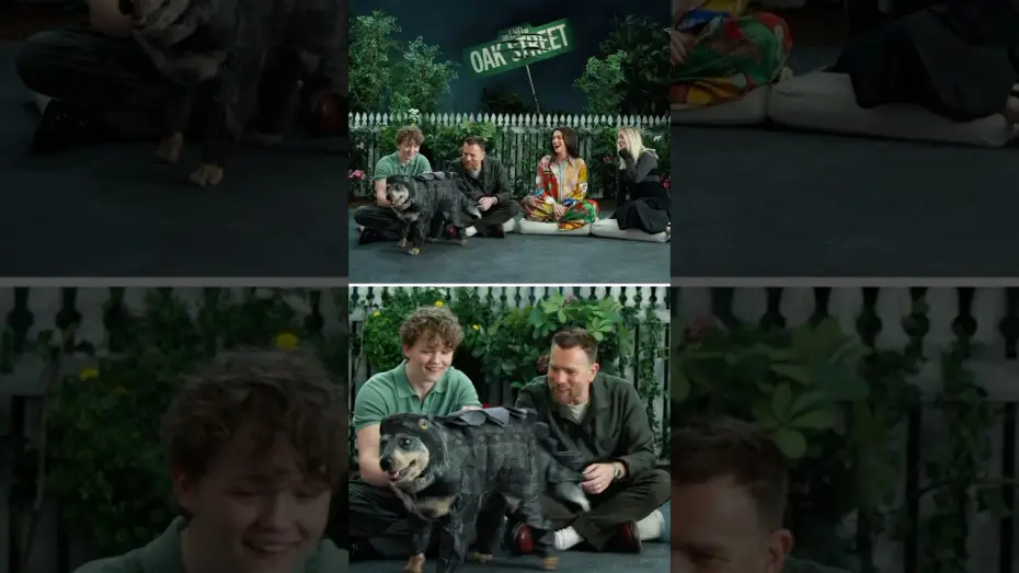 Video for the film The End of Oak Street — Dinosaurs come in all shapes and sizes.