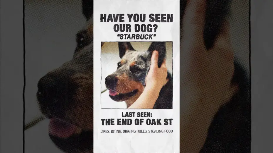 Video for the film The End of Oak Street — Dinosaurs beware, he bites.