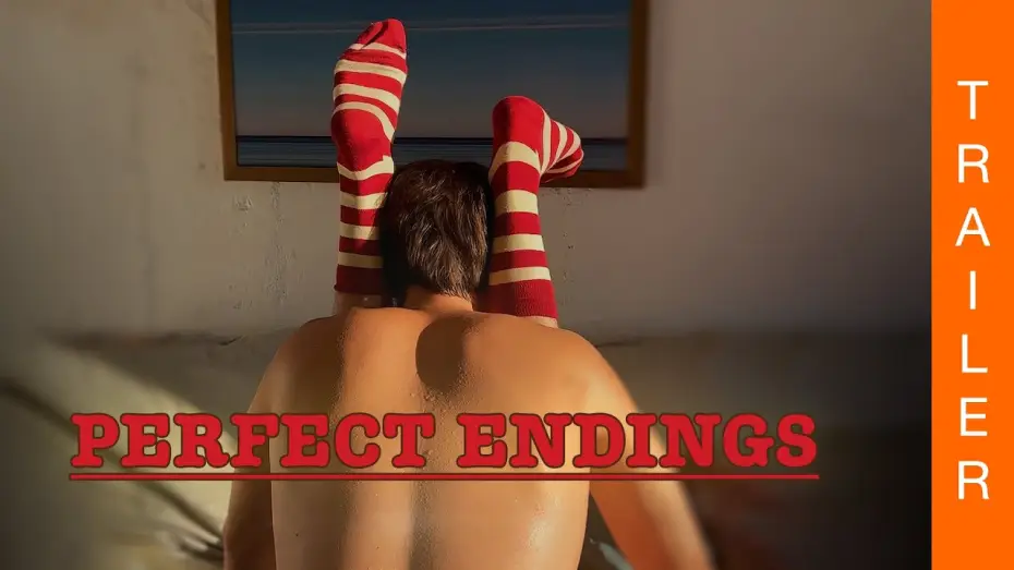 Video for the film Perfect Endings — PERFECT ENDINGS von Daniel Ribeiro (Offizieller deutscher Trailer)