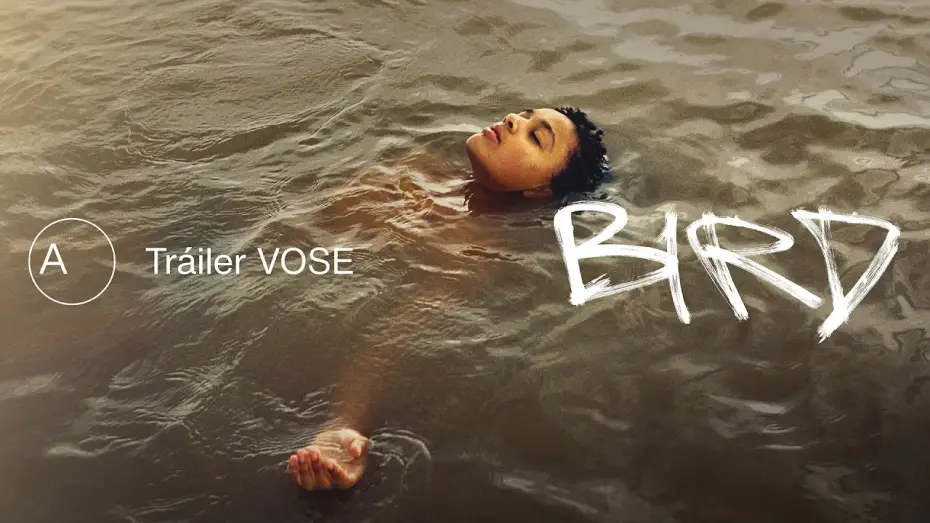 Video for the film Bird — Bird | Tráiler español VOSE | Avalon
