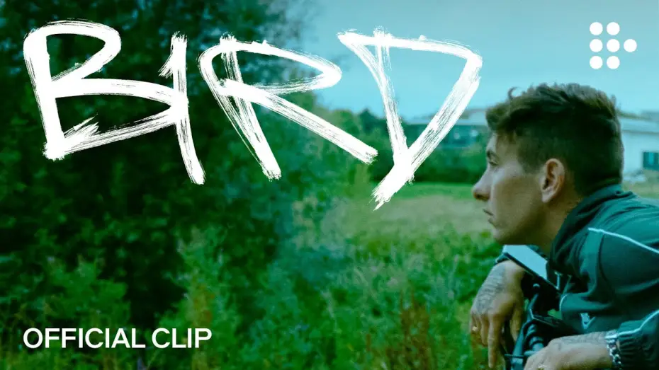 Video for the film Bird — Official Clip