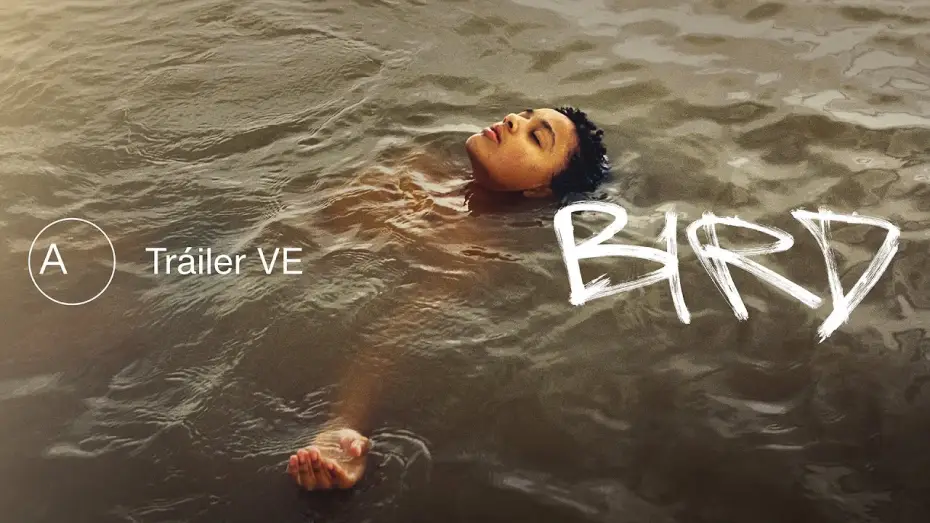 Video for the film Bird — Bird | Tráiler español VE | Avalon