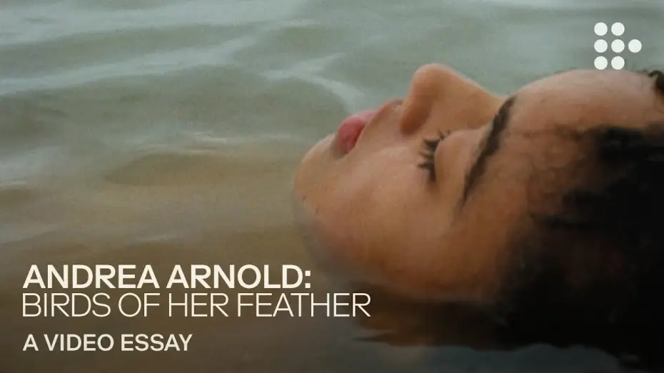 Video for the film Bird — Video essay: “Andrea Arnold: Birds of Her Feather”