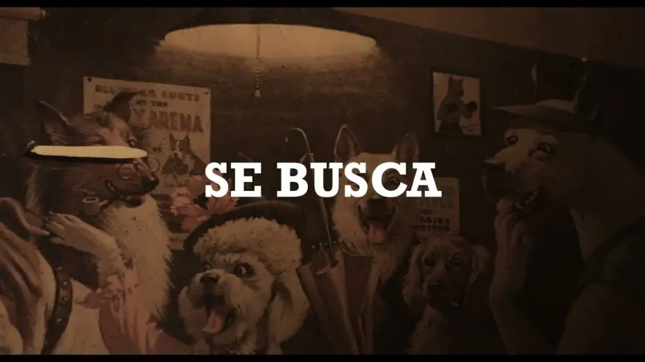 Video for the film Wanted — Se Busca / Wanted