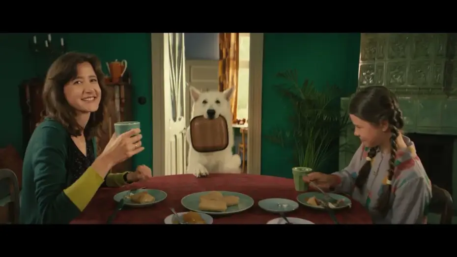 Video for the film Lampo, the Travelling Dog — Lampo, el perro viajero - Tráiler