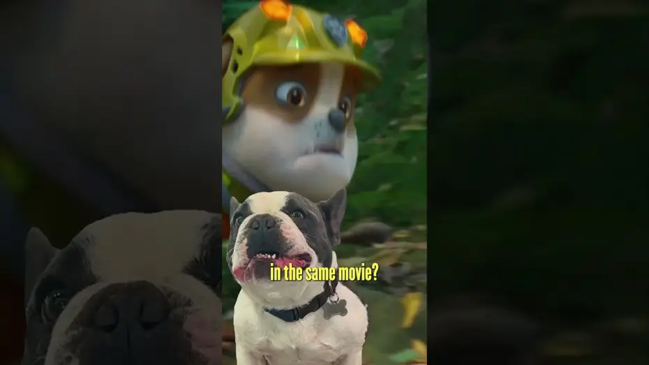 Video for the film PAW Patrol: The Dino Movie — Puppy Trailer Reaction