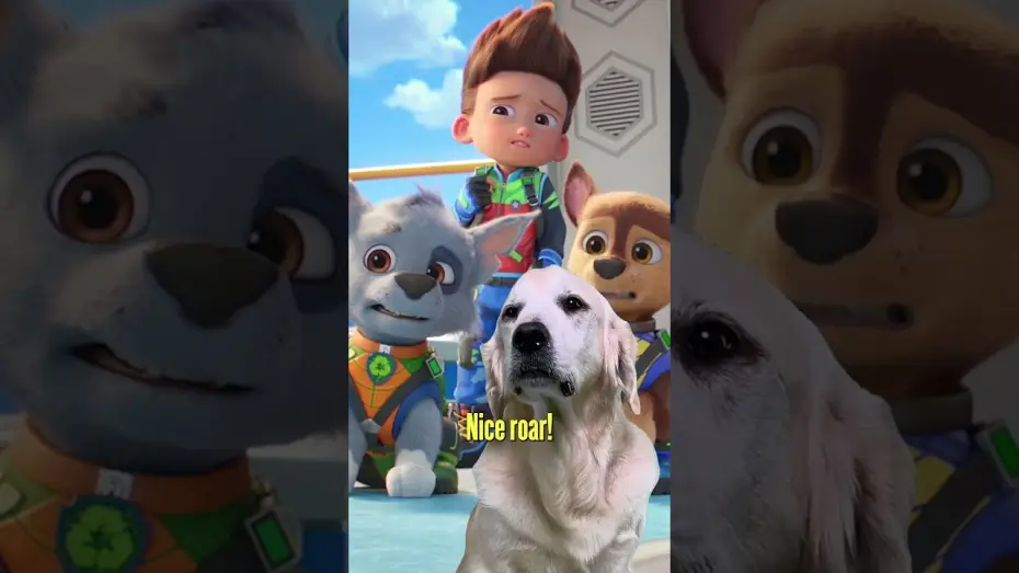 Video for the film PAW Patrol: The Dino Movie — Real Dog Reaction