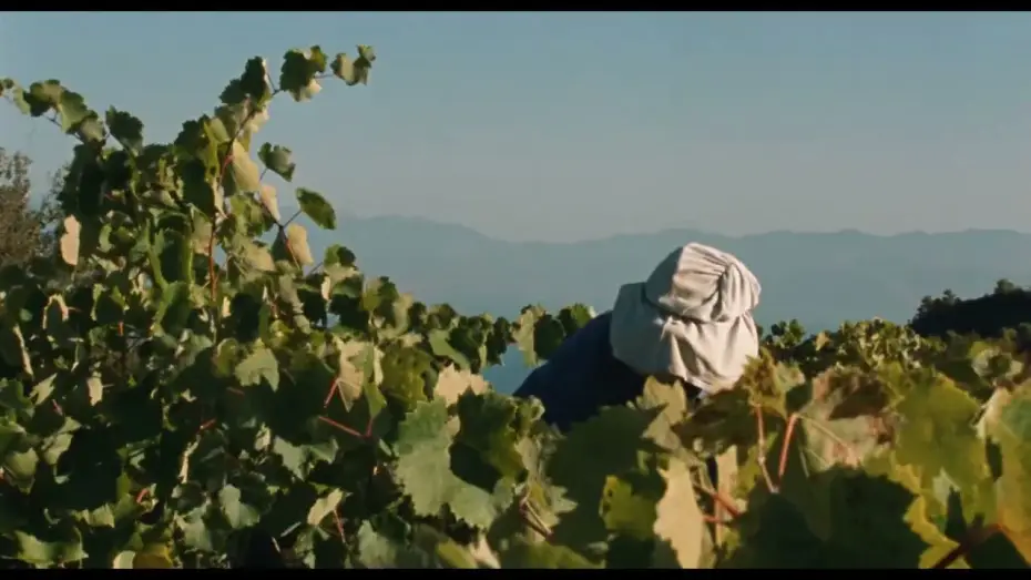 Video for the film Fasolákia — 21º Doclisboa | Verdes Anos | Fasolákia | Maximilian Karakatsanis