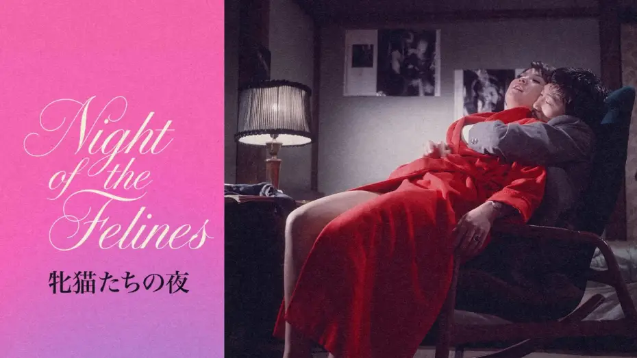 Video for the film Night of the Felines — Night of the Felines (1972) | Trailer | Noboru Tanaka