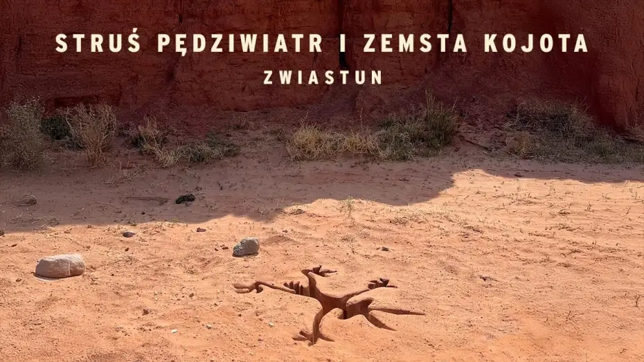 Video for the film Coyote vs. Acme — Struś Pędziwiatr i zemsta Kojota - Zwiastun PL (Official Trailer)