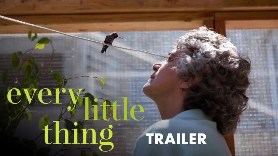 Video for the film Every Little Thing — Trailer