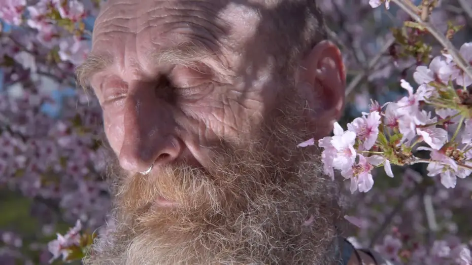 Video for the film A Man Imagined — Trailer