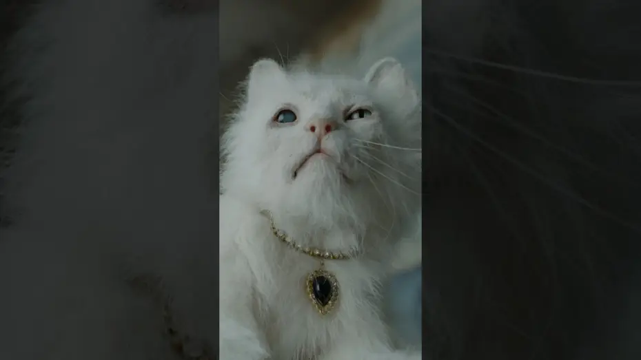 Video for the film Digger — Sweet, sweet, Maggie.