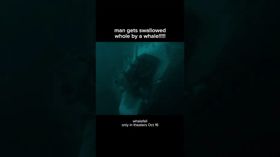 Video for the film Whalefall — thats gonna leave a bruise