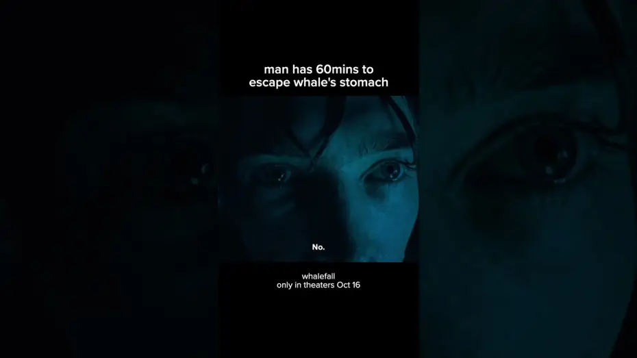 Video for the film Whalefall — 60 minutes is plenty of time