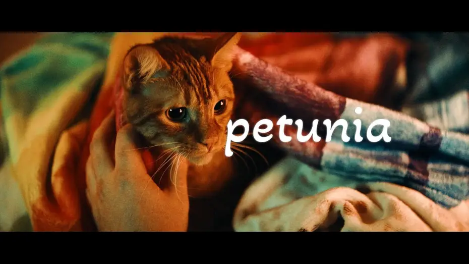 Video for the film Petunia — Petunia Trailer