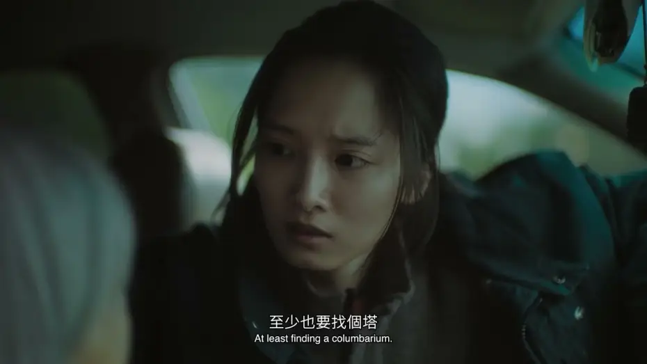 Video for the film Crown Shyness — CROWN SHYNESS - 樹冠羞避 - Trailer
