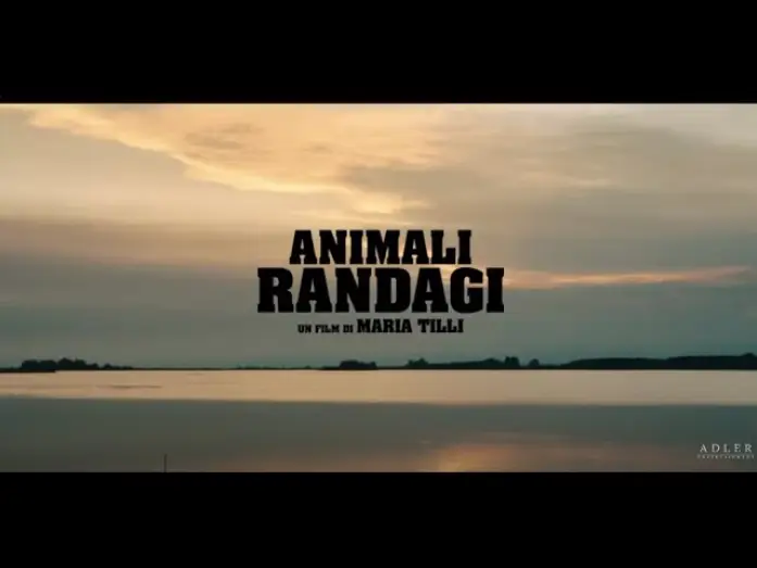 Video for the film Animali Randagi — Animali Randagi di Maria Tilli | Trailer Ufficiale | Dal 27 Giugno al cinema