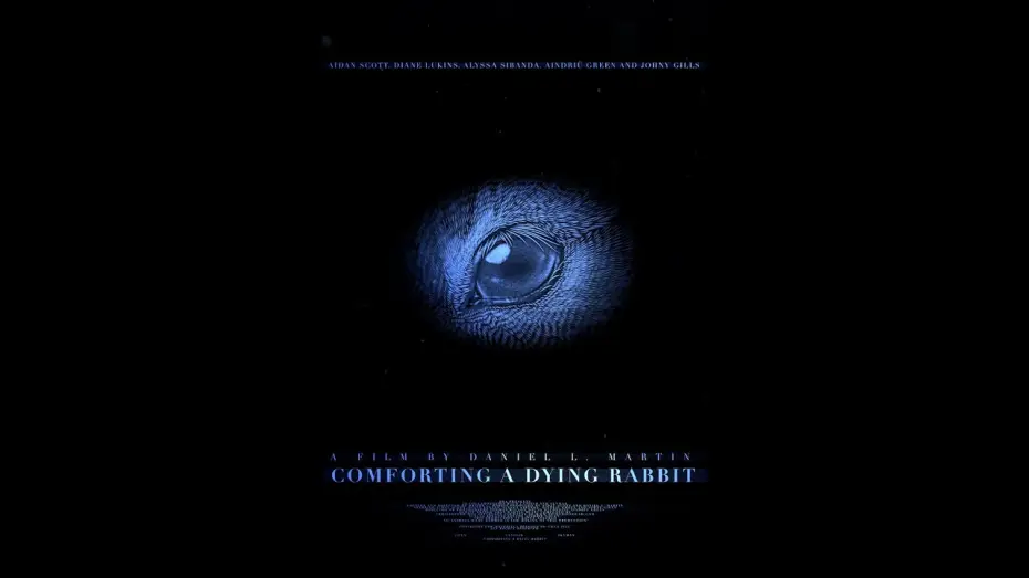 Video for the film Comforting A Dying Rabbit — Comforting A Dying Rabbit - Trailer