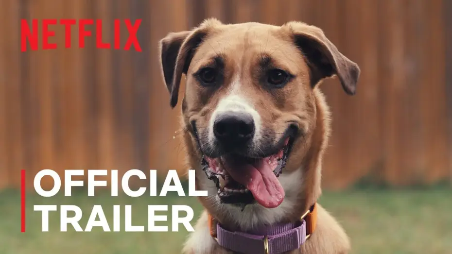 Video for the film Inside the Mind of a Dog — Official Trailer