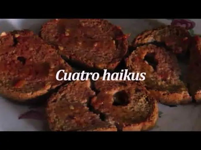 Video for the film Four Haikus — Cuatro Haikus (Guillermo Amengual, 2023)