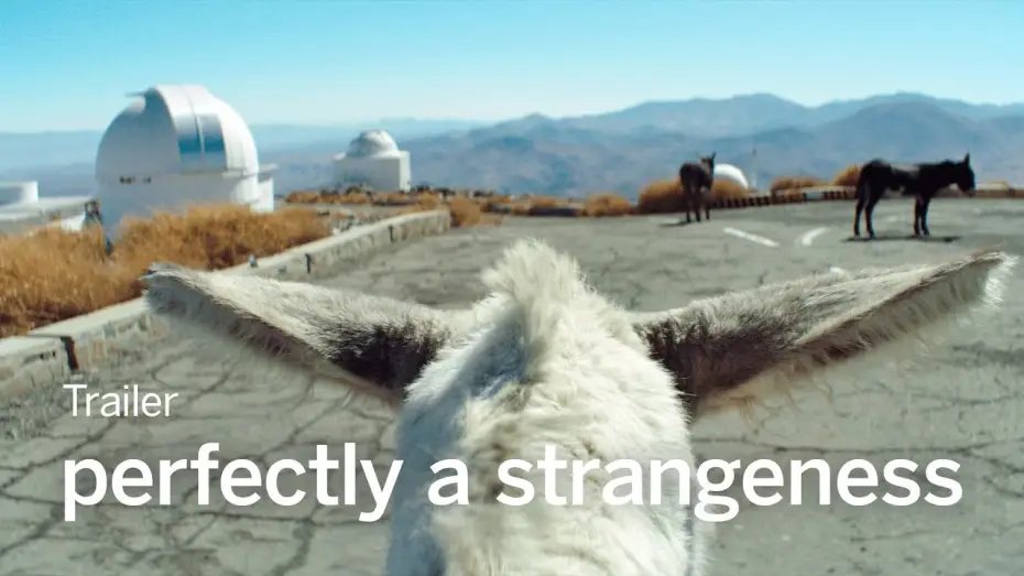Video for the film Perfectly A Strangeness — PERFECTLY A STRANGENESS Trailer | TIFF 2024