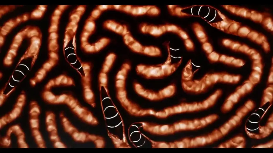 Video for the film In my sleep, I swallow you — Dans mes rêves, je t'avale cru - Brèves D'Images 2025