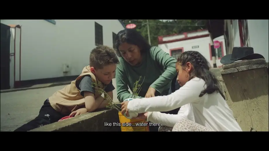 Video for the film The Cowboy — El vaquero/tráiler (Selección MICMXIFF6 2025)