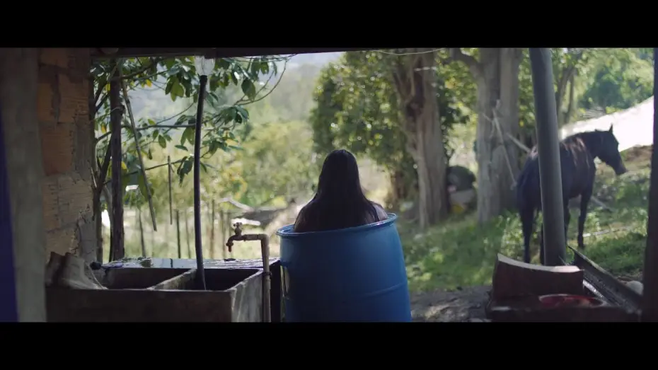Video for the film The Cowboy — El Vaquero trailer