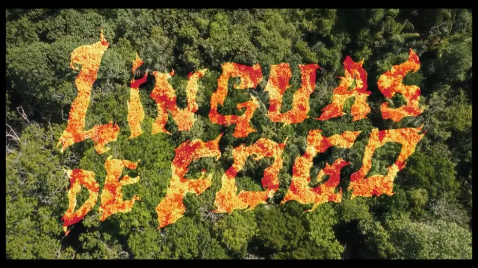 Video for the film Tongues of Fire — TONGUES OF FIRE teaser