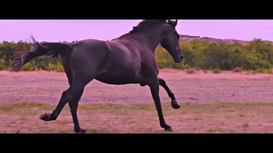 Video for the film No horses on Mars — Trailer
