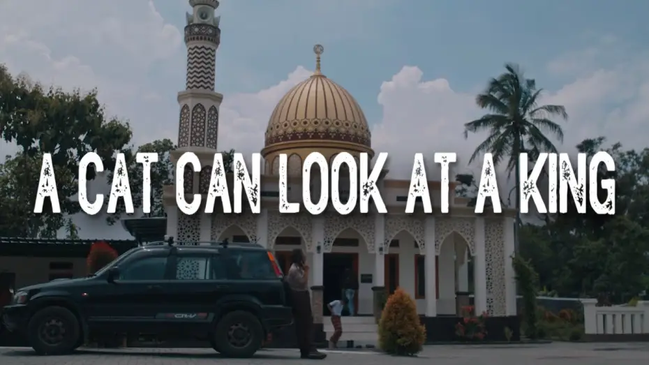 Video for the film A Cat Can Look at a King — Trailer A CAT CAN LOOK AT A KING - Official Selection JAFF (Jogja-NETPAC Asian Film Festival) 2024