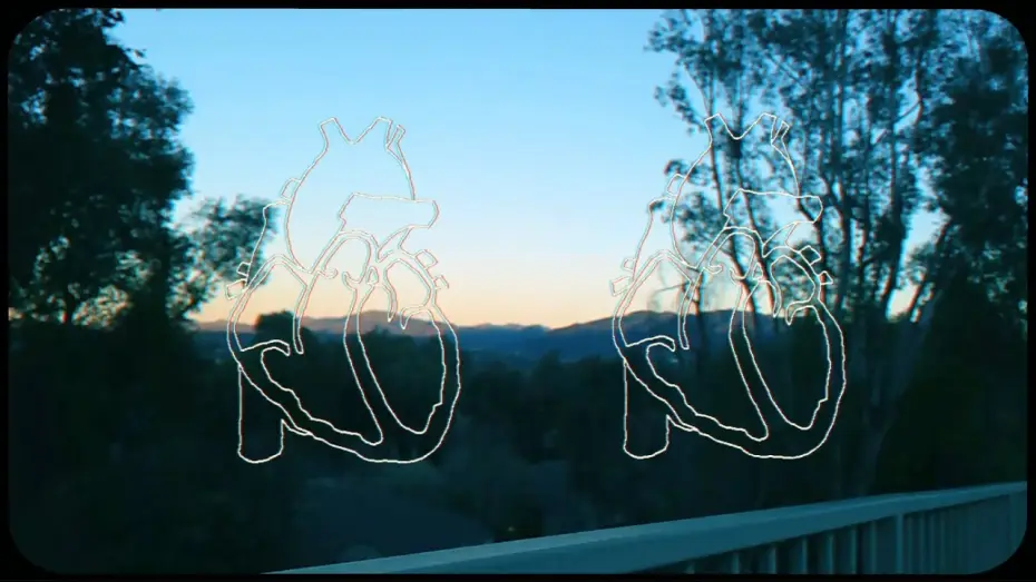 Video for the film Simple Creature — Simple Creature - CalArts Film 2024