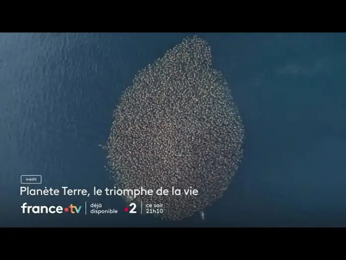 Video for the film Planète Terre, le prix de la survie — [ Bande annonce ] Planète Terre, le triomphe de la vie
