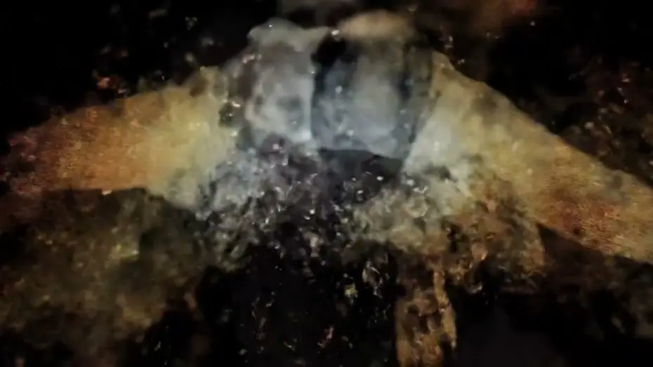 Video for the film Misericorde — Misericorde (Natasa Prosenc Stearns) Sight and Sound BLOC @ MoMi Redstone 4/26/24 4:15pm