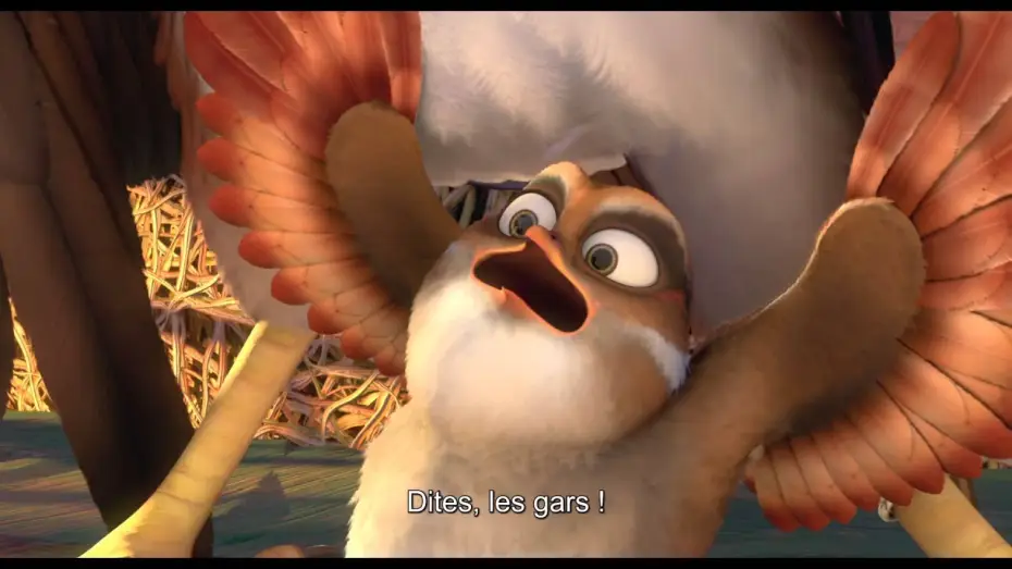 Video for the film Zambezia — DRÔLES D'OISEAUX Bande Annonce VOST