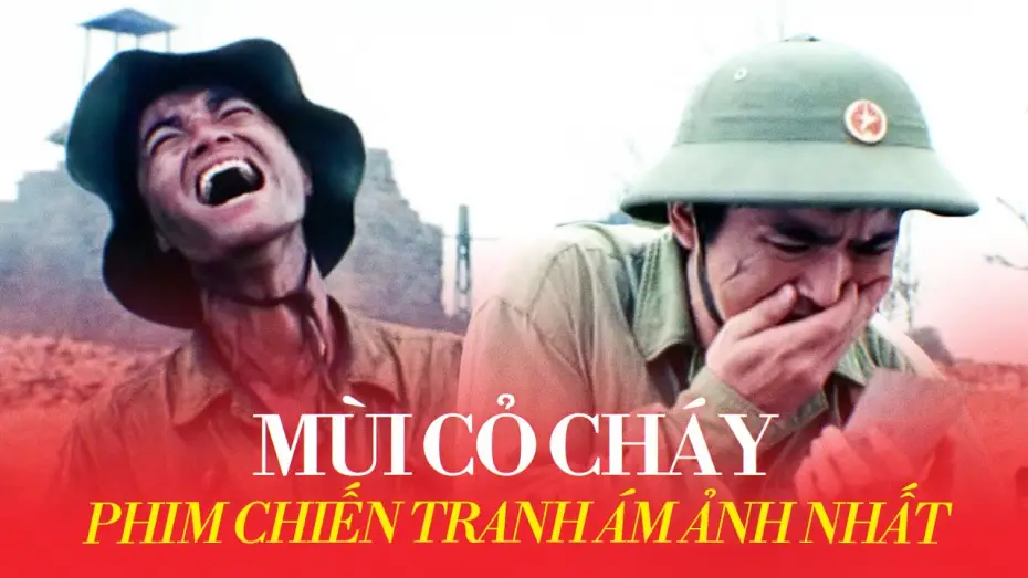 Video for the film The Scent of Burning Grass — MÙI CỎ CHÁY: Chiến tranh ĐAU ĐỚN đến thế nào?