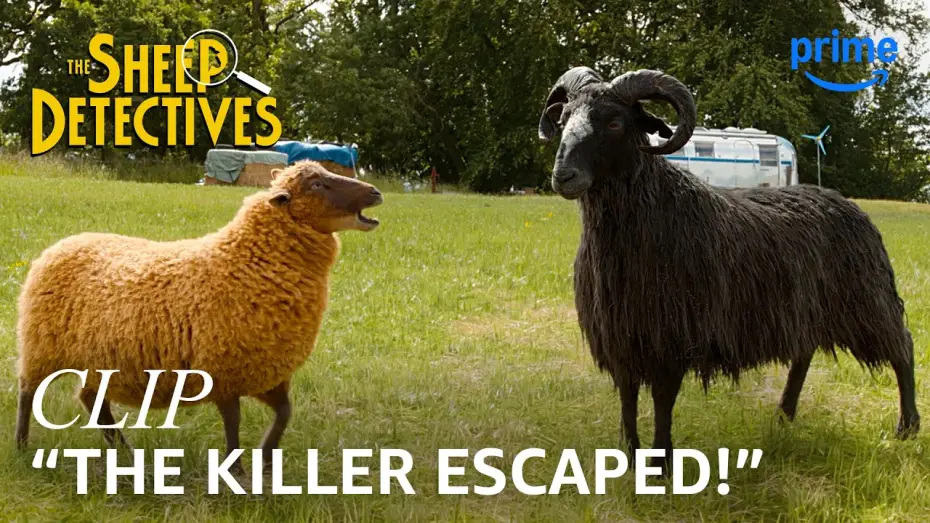 Video for the film The Sheep Detectives — Lily & the Other Sheep Begin Their Muder Investigation - Clip