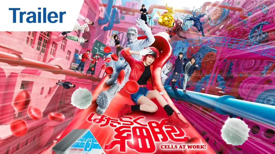 Video for the film Cells at Work! — Main Trailer [English Subtitles]
