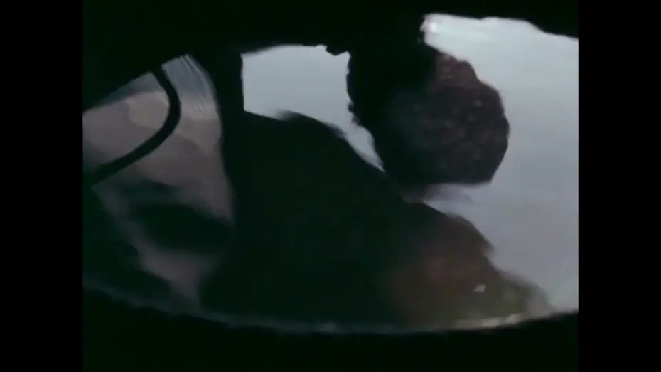 Video for the film An Oscillating Shadow — Una sombra oscilante | Tráiler | 29 IFFK | StyleFeelFree. SFF magazine