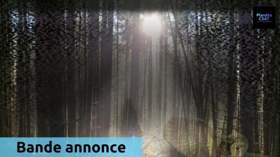 Video for the film A la poursuite de la chouette d'or — A la poursuite de la Chouette d'Or | bande annonce | CANAL+DOCS