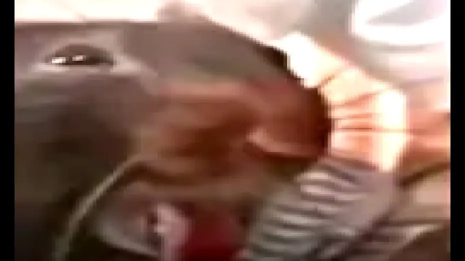 Video for the film Verguizas Cabronas — Burping Rat Meme from Afffirmations