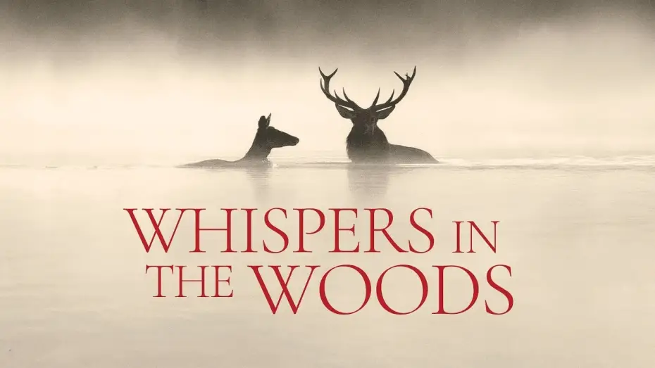 Video for the film Whispers in the Woods — Official Trailer [Subtitled]