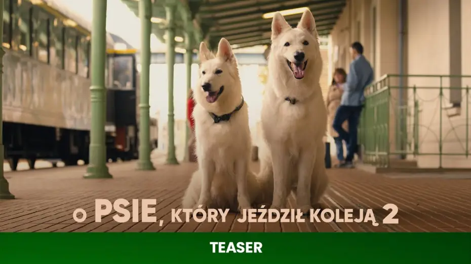 Video for the film The Travelling Dog 2 — Teaser