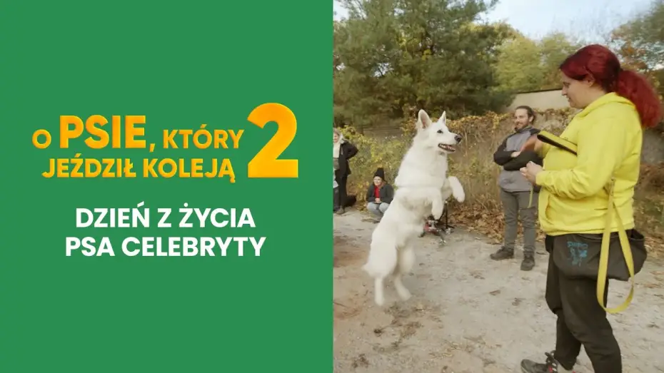 Video for the film The Travelling Dog 2 — Dzień z życia psa celebryty