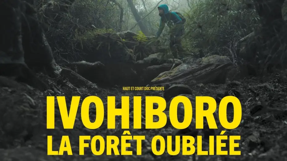 Video for the film Ivohiboro, la forêt oubliée — Ivohiboro, la forêt oubliée - bande annonce