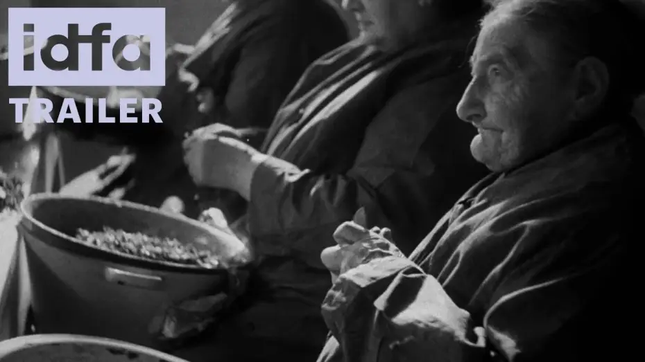 Video for the film Neshoma — IDFA 2024 | Trailer | Neshoma