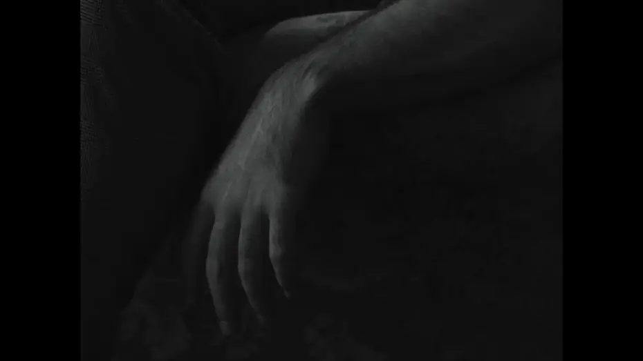 Video for the film Show — SHOW - Carlos Lacasa