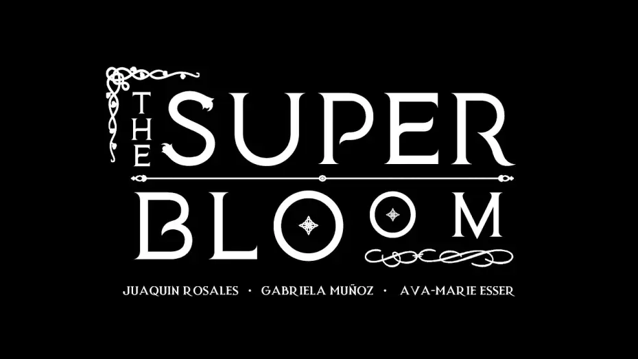 Video for the film The Superbloom — Superbloom Full Trailer